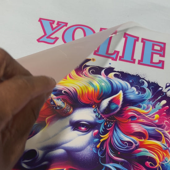 DTF video peeling transfer sheet from print showing our vibrant colors