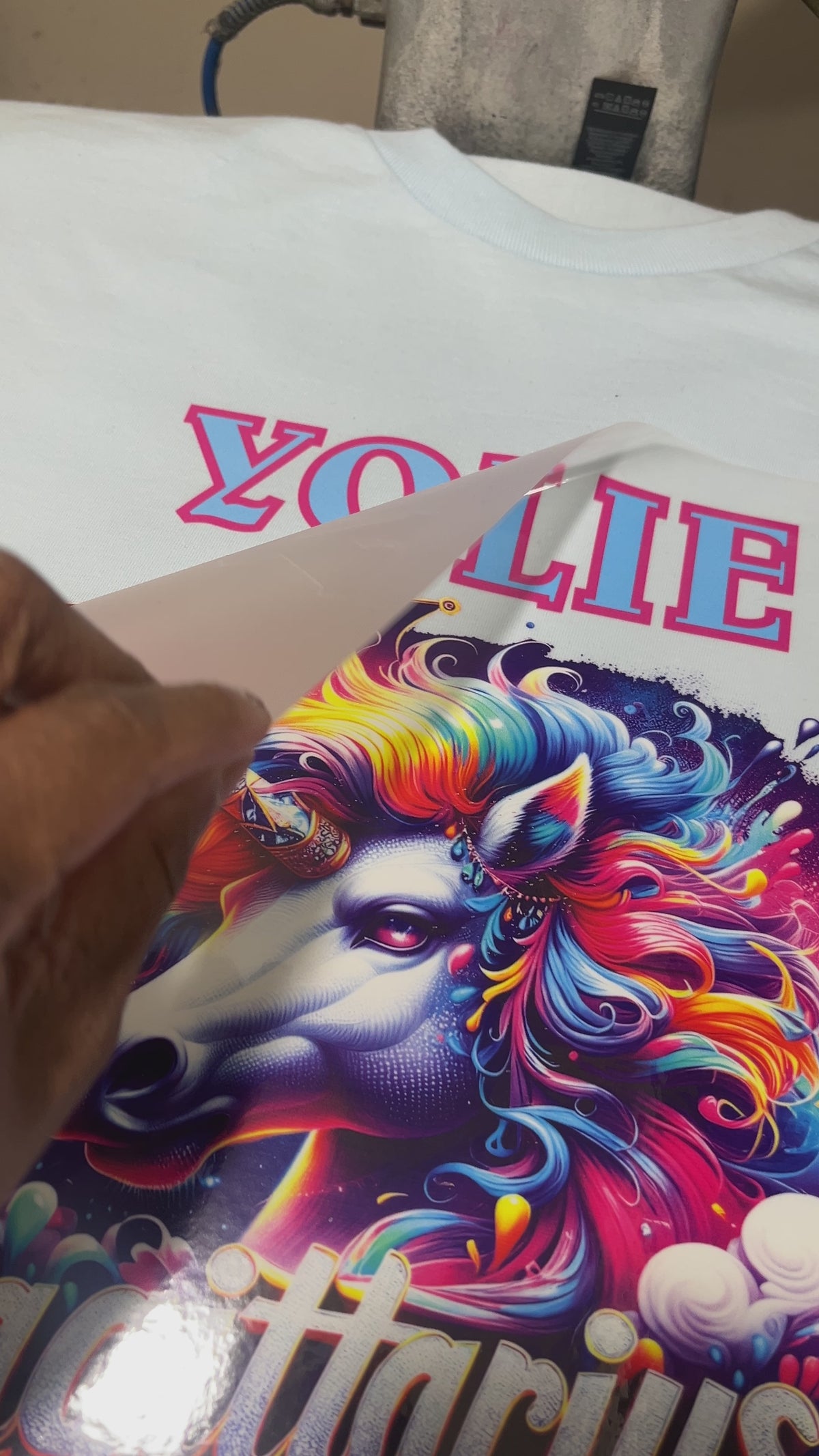 DTF video peeling transfer sheet from print showing our vibrant colors